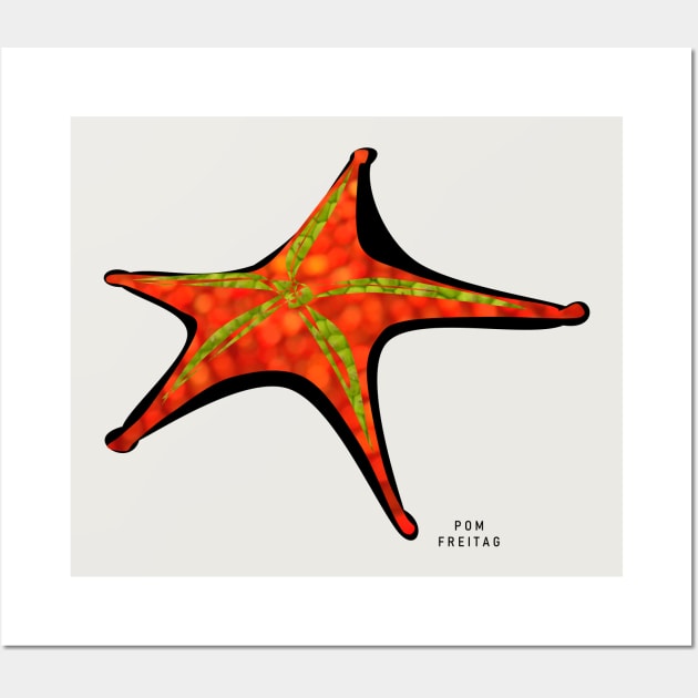 Starfish : Wall Art by Annie Pom Freitag